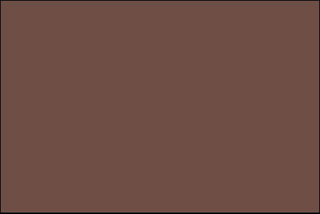 medium brown color swatch