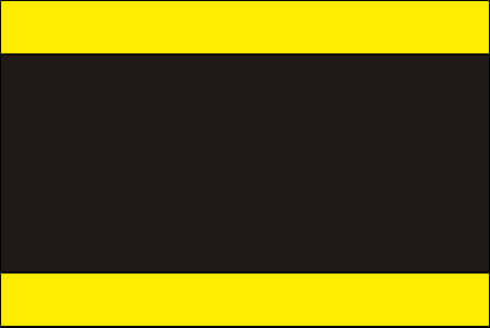 yellow black yellow color swatch