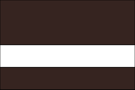 dark brown and white color swatch