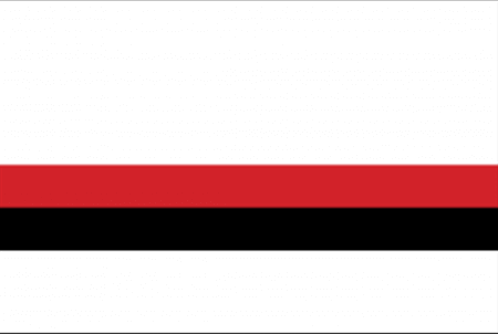 white red and black color swatch