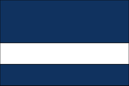 patriot blue and white color swatch