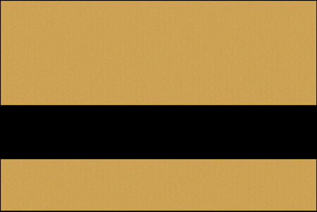 smooth gold and black color swatch