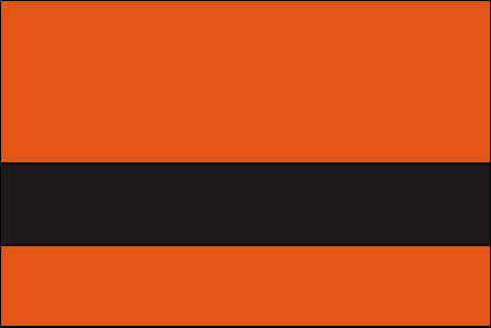 vibrant orange and black color swatch
