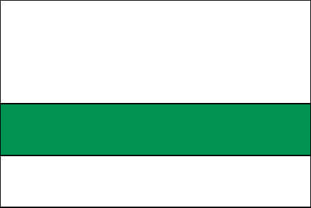 white and bright green color swatch