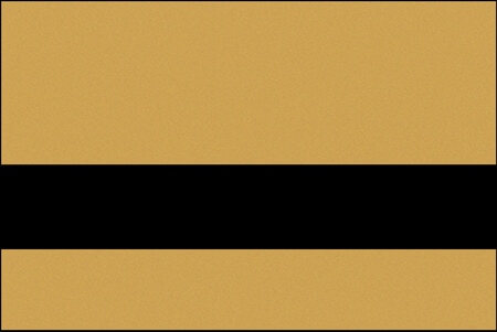 smooth gold and black color swatch