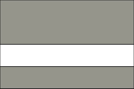 battleship grey and white color swatch