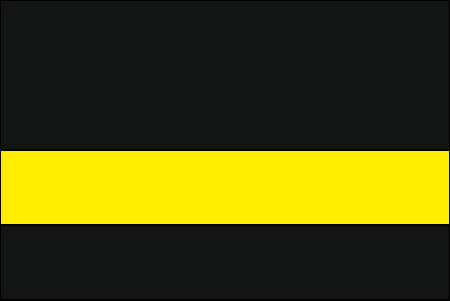 black and yellow color swatch