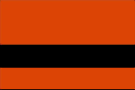 orange and black color swatch