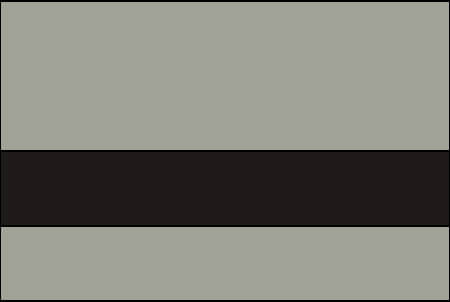 ash grey and black color swatch
