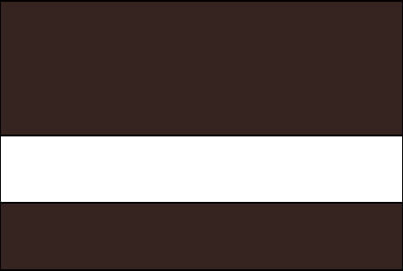coffee bean and white color swatch