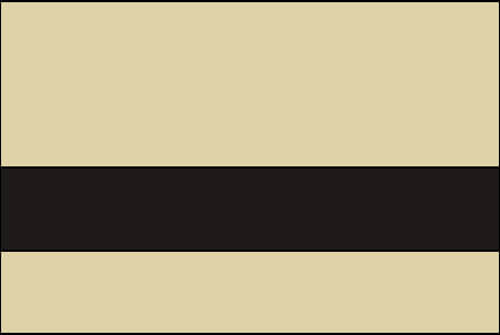 desert sand and black color swatch