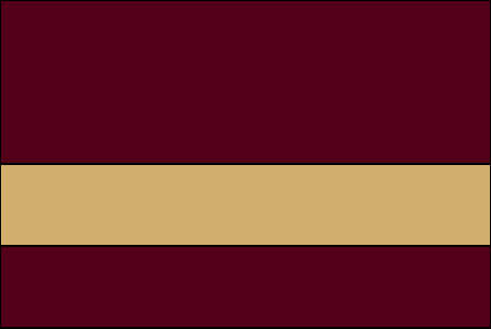burgundy and gold color swatch
