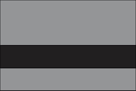 light grey and black color swatch