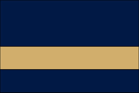 navy blue and gold color swatch