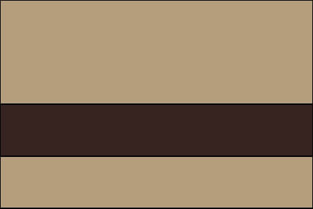 beige and dark brown color swatch