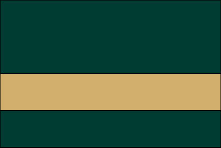 hunter green and gold color swatch
