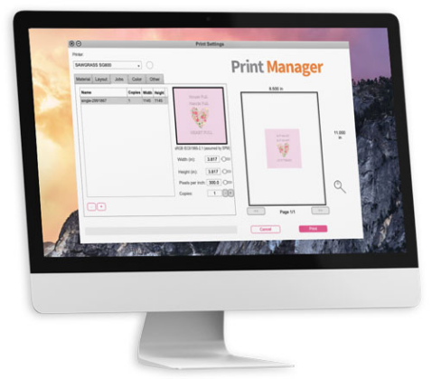 computer monitor displaying the print manager software